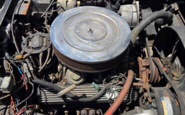 Chevy-corvette-1981-12