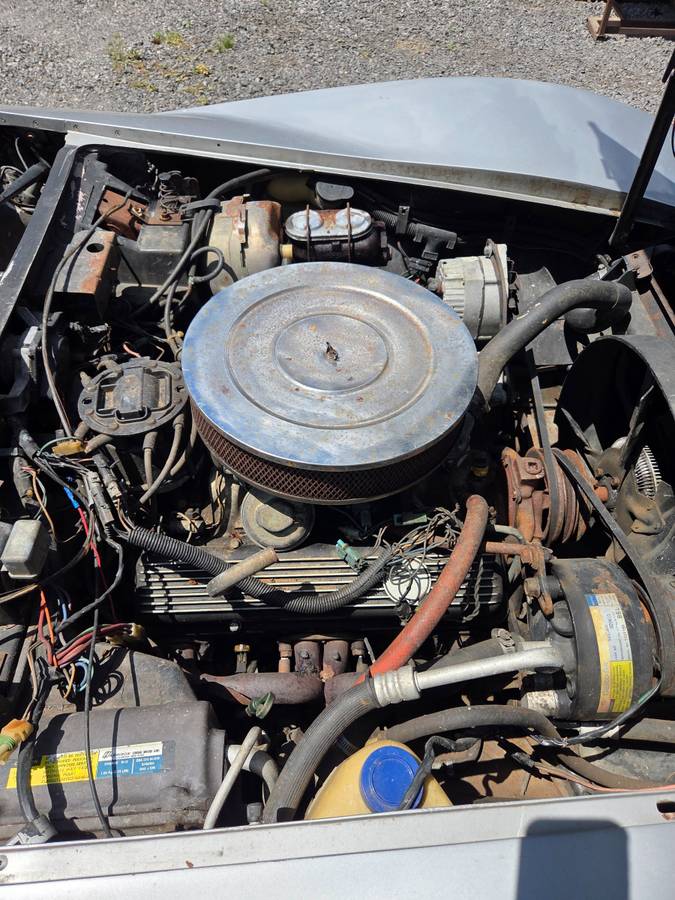 Chevy-corvette-1981-13