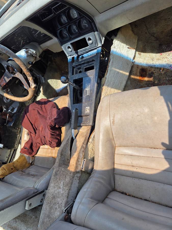 Chevy-corvette-1981-4