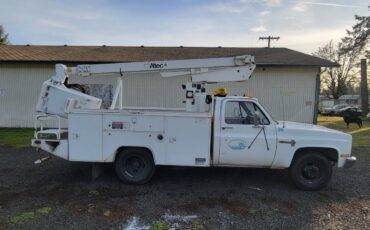 Chevy-custom-deluxe-30-1987-1