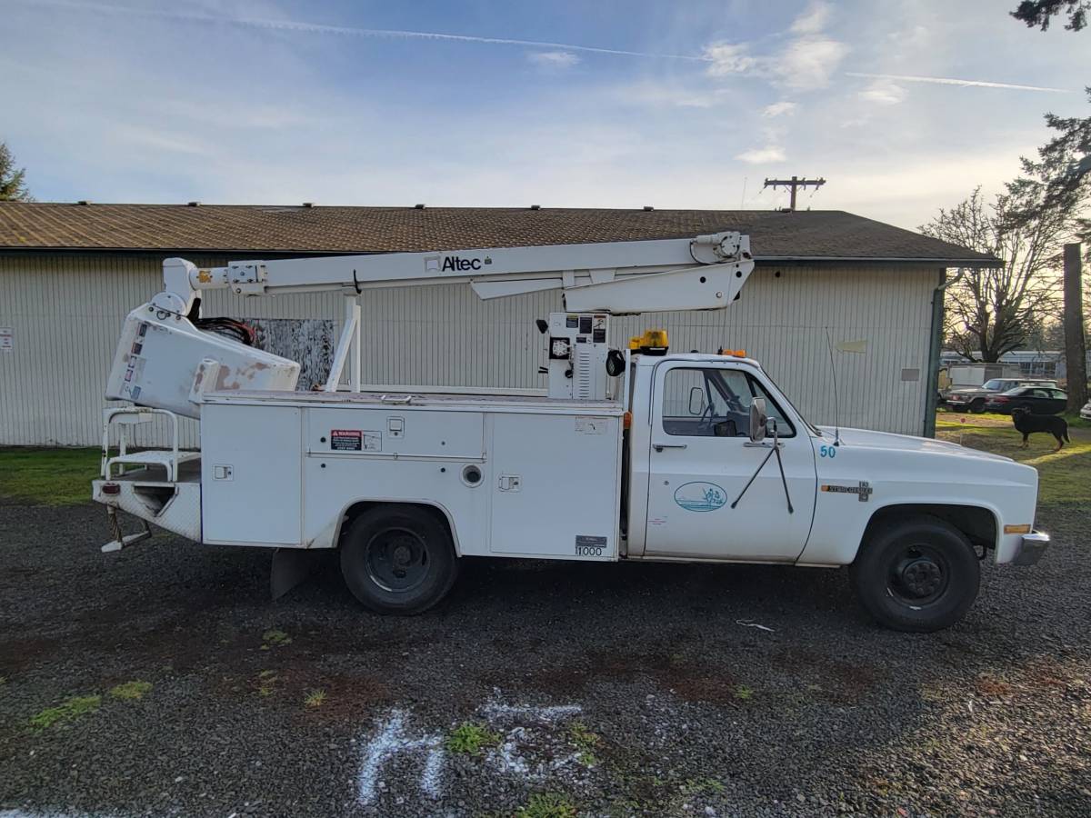 Chevy-custom-deluxe-30-1987-1