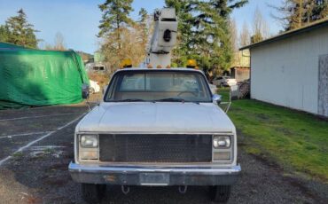 Chevy-custom-deluxe-30-1987-2