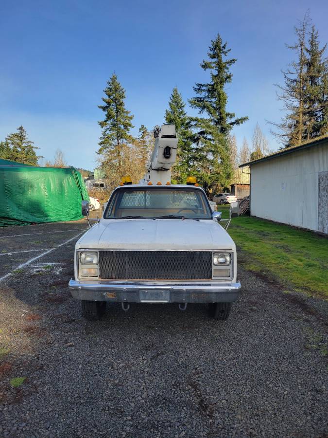 Chevy-custom-deluxe-30-1987-2