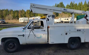 Chevy-custom-deluxe-30-1987-3