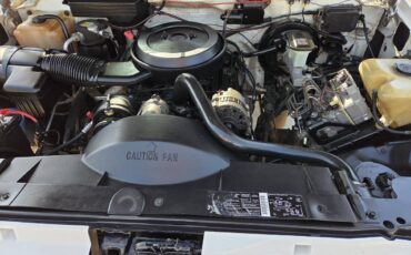 Chevy-gmc-1994-white-10