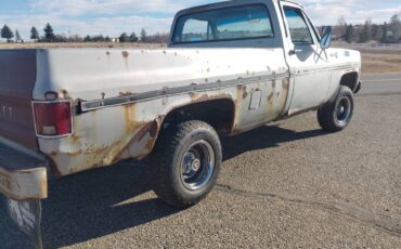 Chevy-k10-4x4-1979-grey-2