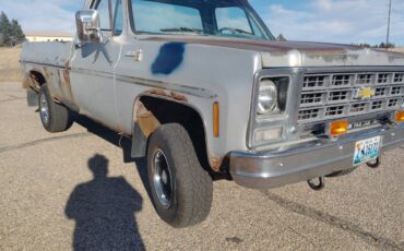 Chevy-k10-scottsdale-1979-grey-1