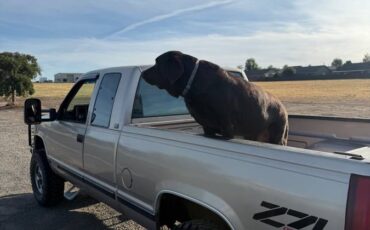 Chevy-k2500-1993-brown-2