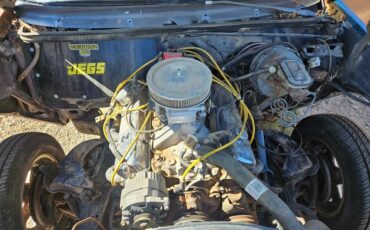 Chevy-malibu-ss-wagon-1979-brown-1