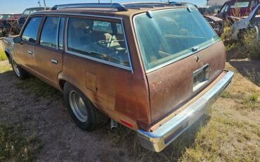 Chevy-malibu-ss-wagon-1979-brown-4