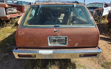 Chevy-malibu-ss-wagon-1979-brown-8