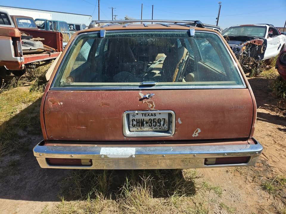 Chevy-malibu-ss-wagon-1979-brown-8