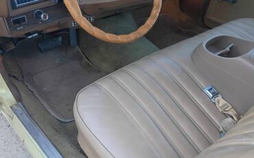 Chevy-monte-carlo-1977-10