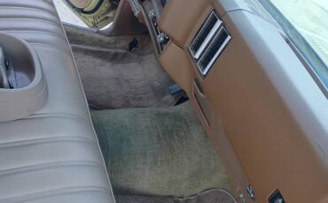 Chevy-monte-carlo-1977-13