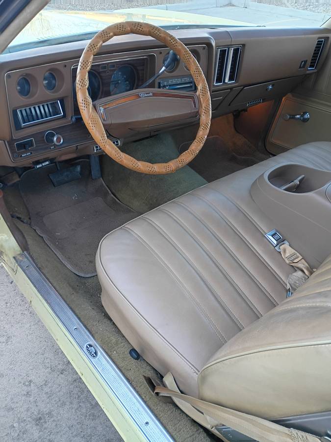 Chevy-monte-carlo-1977-25