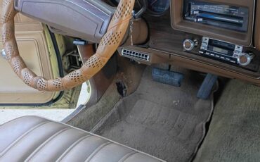 Chevy-monte-carlo-1977-29