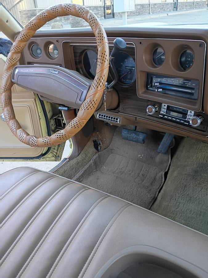 Chevy-monte-carlo-1977-29