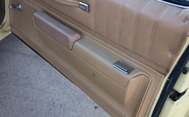 Chevy-monte-carlo-1977-31