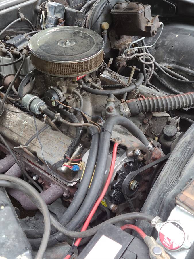 Chevy-nova-ss-1973-7