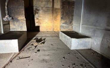 Chevy-one-too-box-p30-1974-2