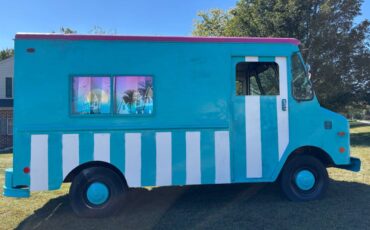 Chevy-p30-step-van-1980-12