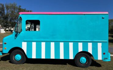 Chevy-p30-step-van-1980-14