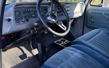 Chevy-pickup-1965-white-10