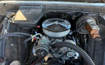 Chevy-pickup-1965-white-13