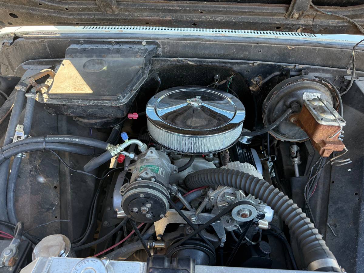 Chevy-pickup-1965-white-13