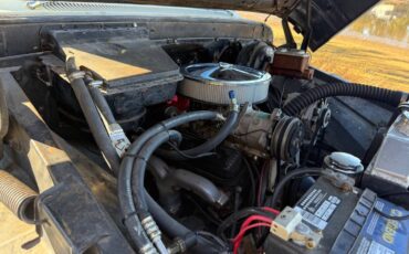 Chevy-pickup-1965-white-14