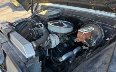 Chevy-pickup-1965-white-15