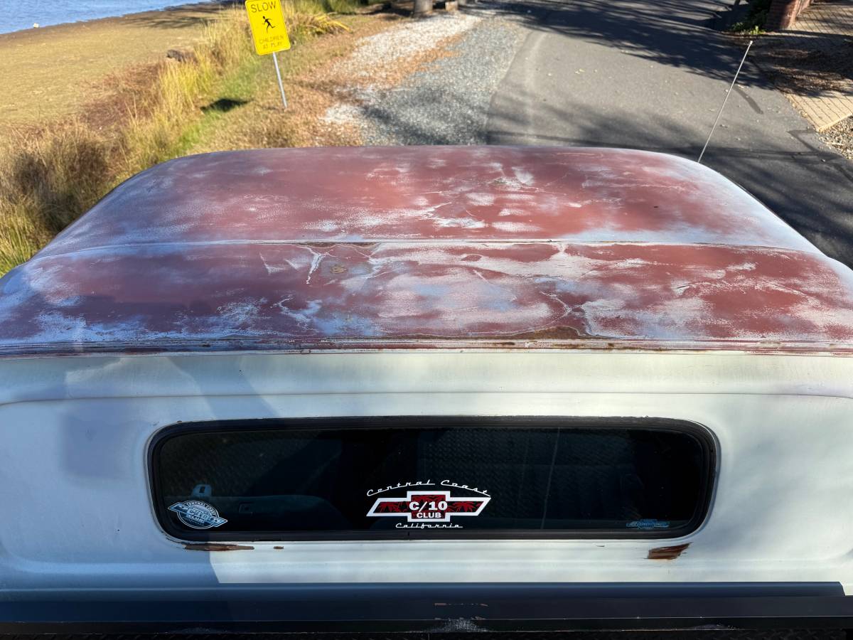 Chevy-pickup-1965-white-9