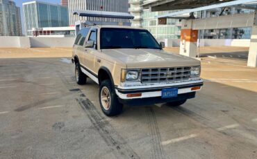 Chevy-s10-blazer-1984-yellow-8