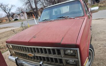 Chevy-s10-pickup-1982