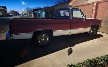 Chevy-s10-pickup-1982-9