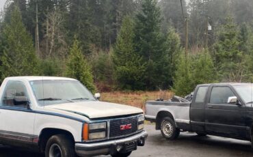 Chevy-s10-pickup-1987-4