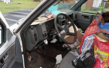 Chevy-s10-pickup-1991-white