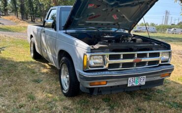 Chevy-s10-pickup-1993-grey