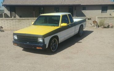 Chevy-s15-ext-cab-1984-custom-3