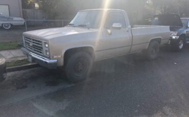 Chevy-scottsdale-k20-1985-brown-2