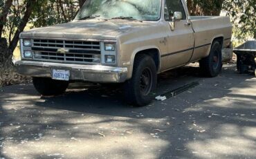 Chevy-scottsdale-k20-1985-brown-3