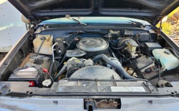 Chevy-silverado-1500-1994-blue-6