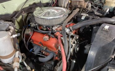 Chevy-silverado-1976-green-2