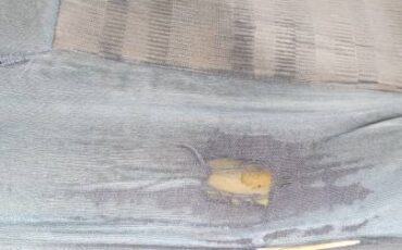 Chevy-silverado-3500-diesel-1994-purple-12