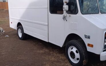 Chevy-stepvan-p30-1991-white-18