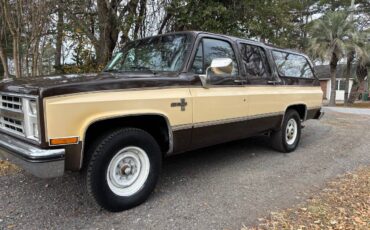 Chevy-suburban-1986-brown-7