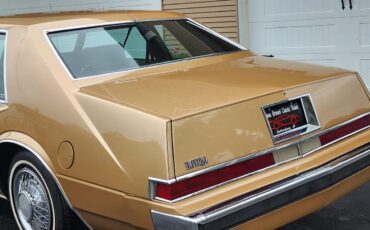 Chrysler-Imperial-1982-2-dr-19