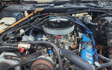 Chrysler-Imperial-1982-2-dr-20