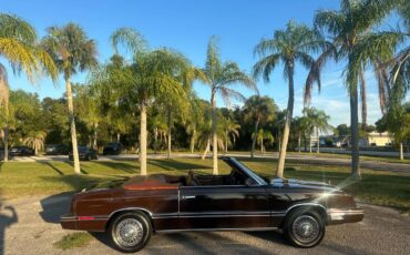 Chrysler-lebaron-1983-brown-7