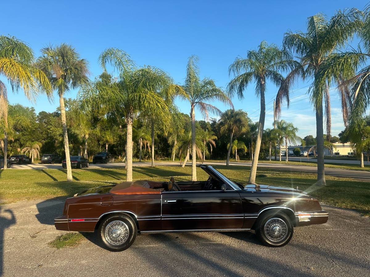 Chrysler-lebaron-1983-brown-7